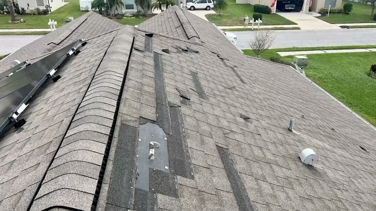 Storm Damage Shingle Roof Replacement in Palmetto image