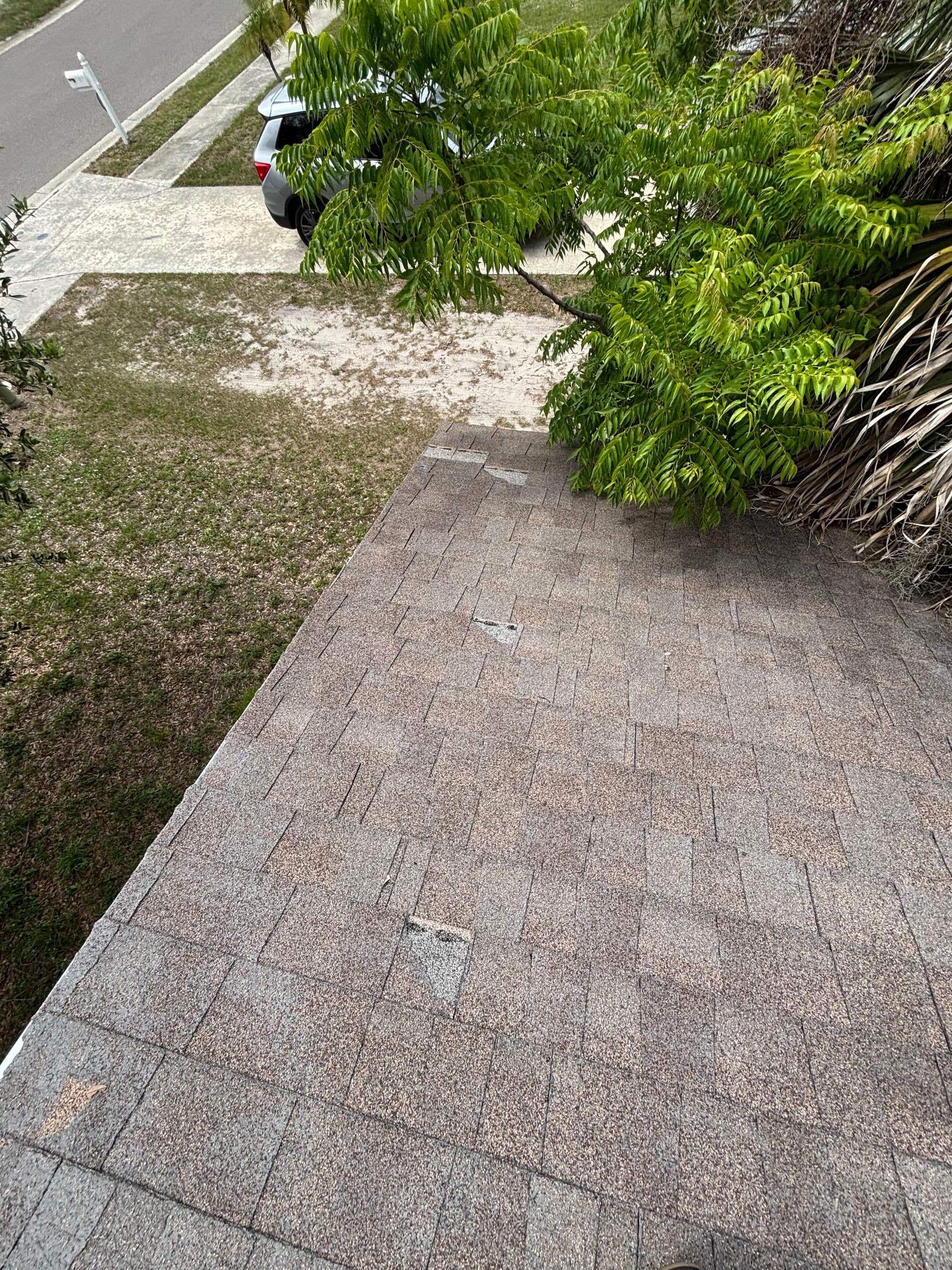 Worn Shingles Out, Sharp Metal Roof In - Sarasota image