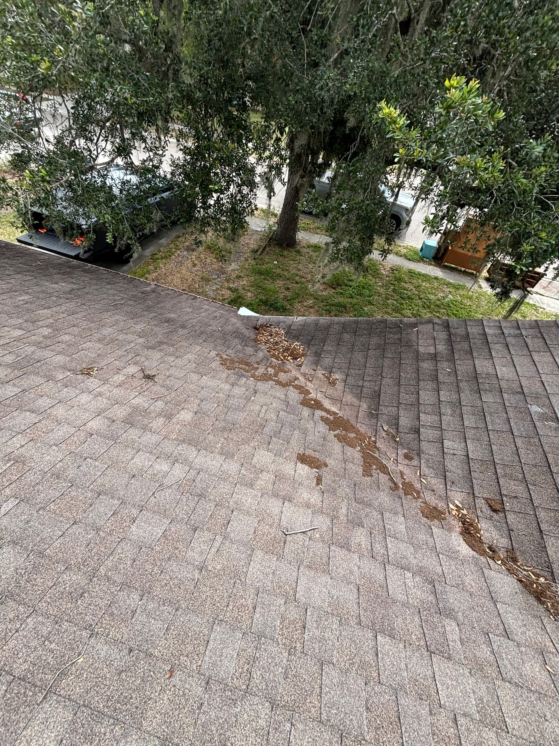 Gallery photos for Worn Shingles Out, Sharp Metal Roof In - Sarasota: Image #1